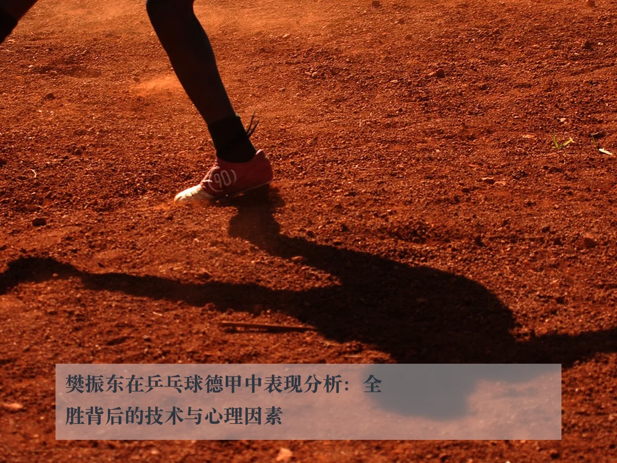 樊振东在乒乓球德甲中表现分析:全胜背后的技术与心理因素